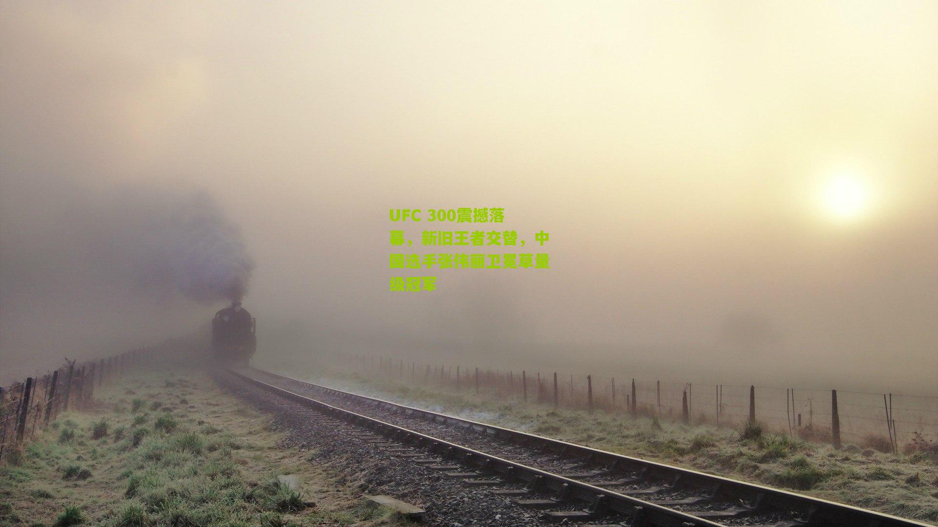 UFC 300震撼落幕，新旧王者交替，中国选手张伟丽卫冕草量级冠军