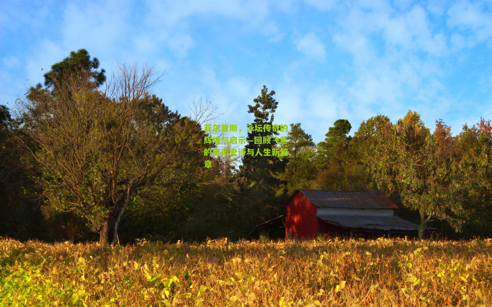 菲尔普斯,泳坛传奇的辉煌与启示—回顾飞鱼的奥运史诗与人生新篇章