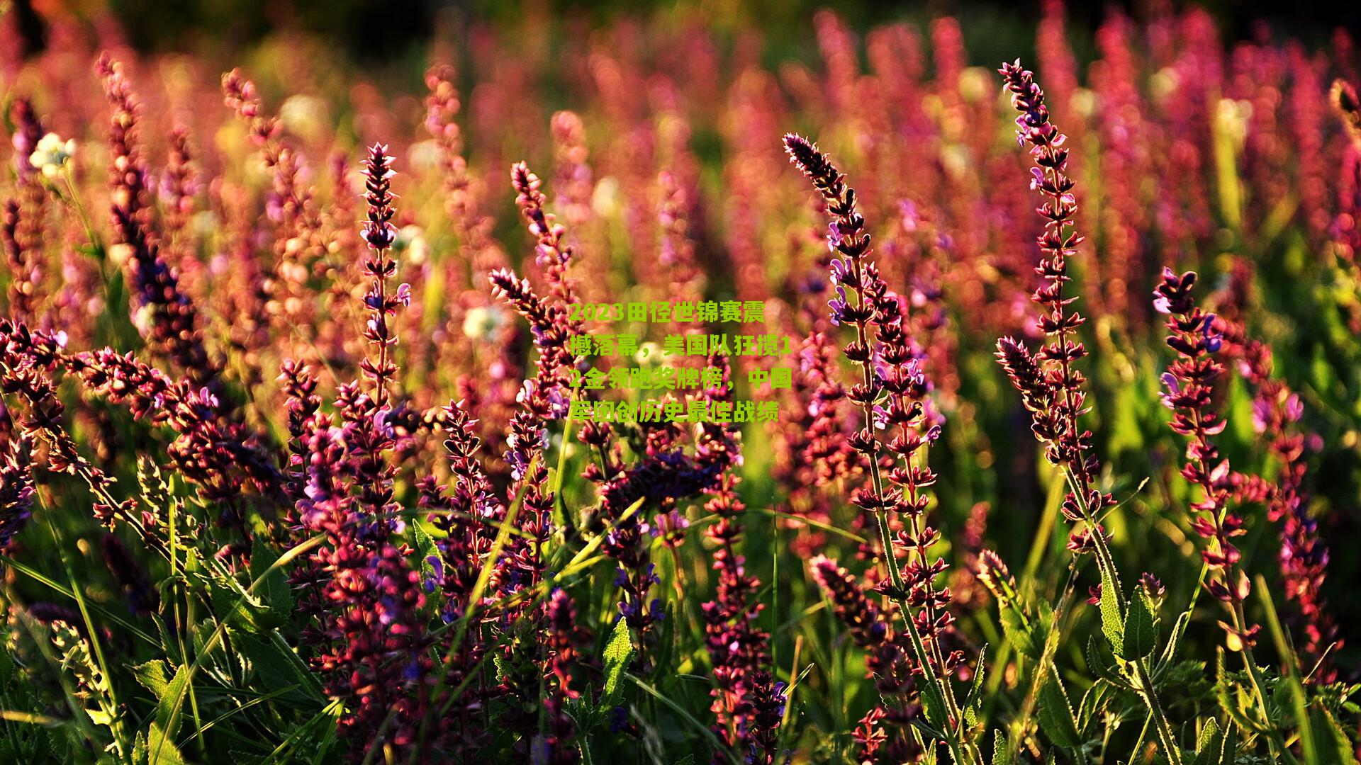 2023田径世锦赛震撼落幕,美国队狂揽12金领跑奖牌榜,中国军团创历史最佳战绩