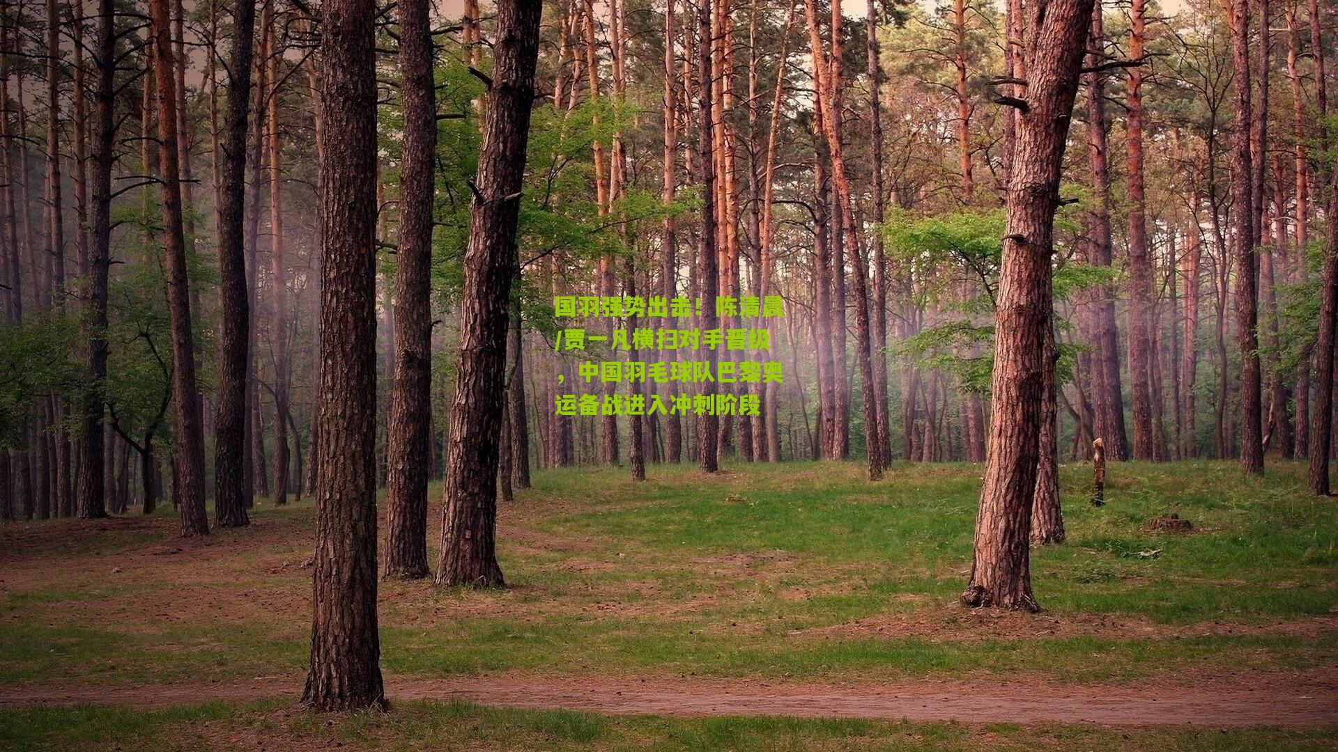 国羽强势出击!陈清晨/贾一凡横扫对手晋级,中国羽毛球队巴黎奥运备战进入冲刺阶段