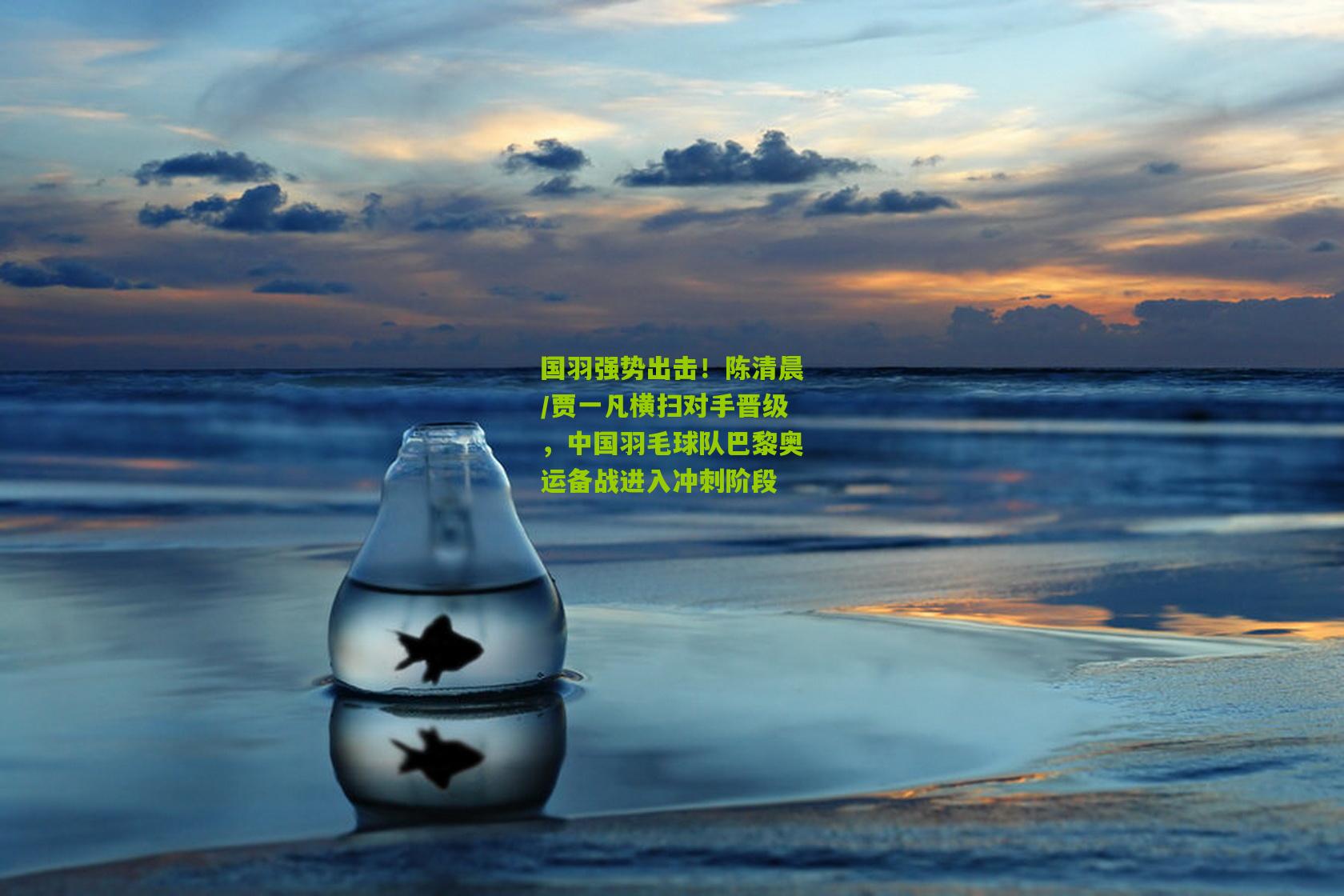 国羽强势出击!陈清晨/贾一凡横扫对手晋级,中国羽毛球队巴黎奥运备战进入冲刺阶段