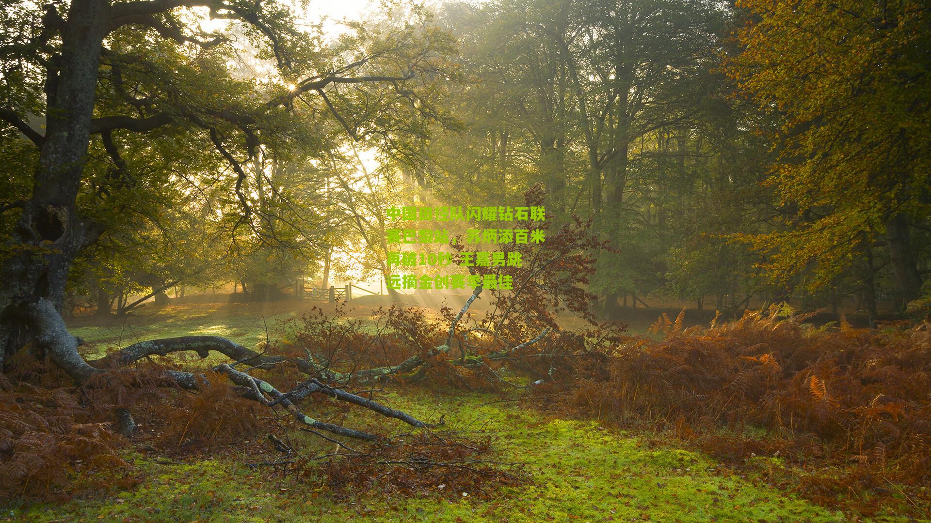 中国田径队闪耀钻石联赛巴黎站,苏炳添百米再破10秒 王嘉男跳远摘金创赛季最佳