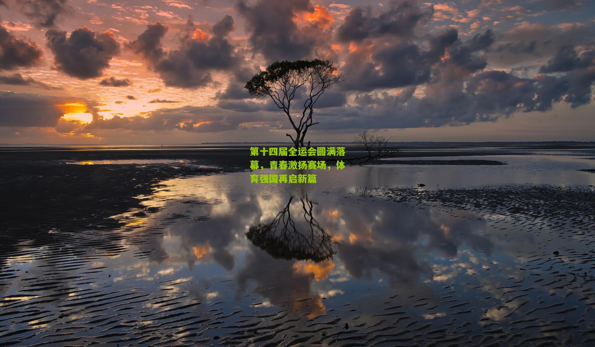 第十四届全运会圆满落幕，青春激扬赛场，体育强国再启新篇