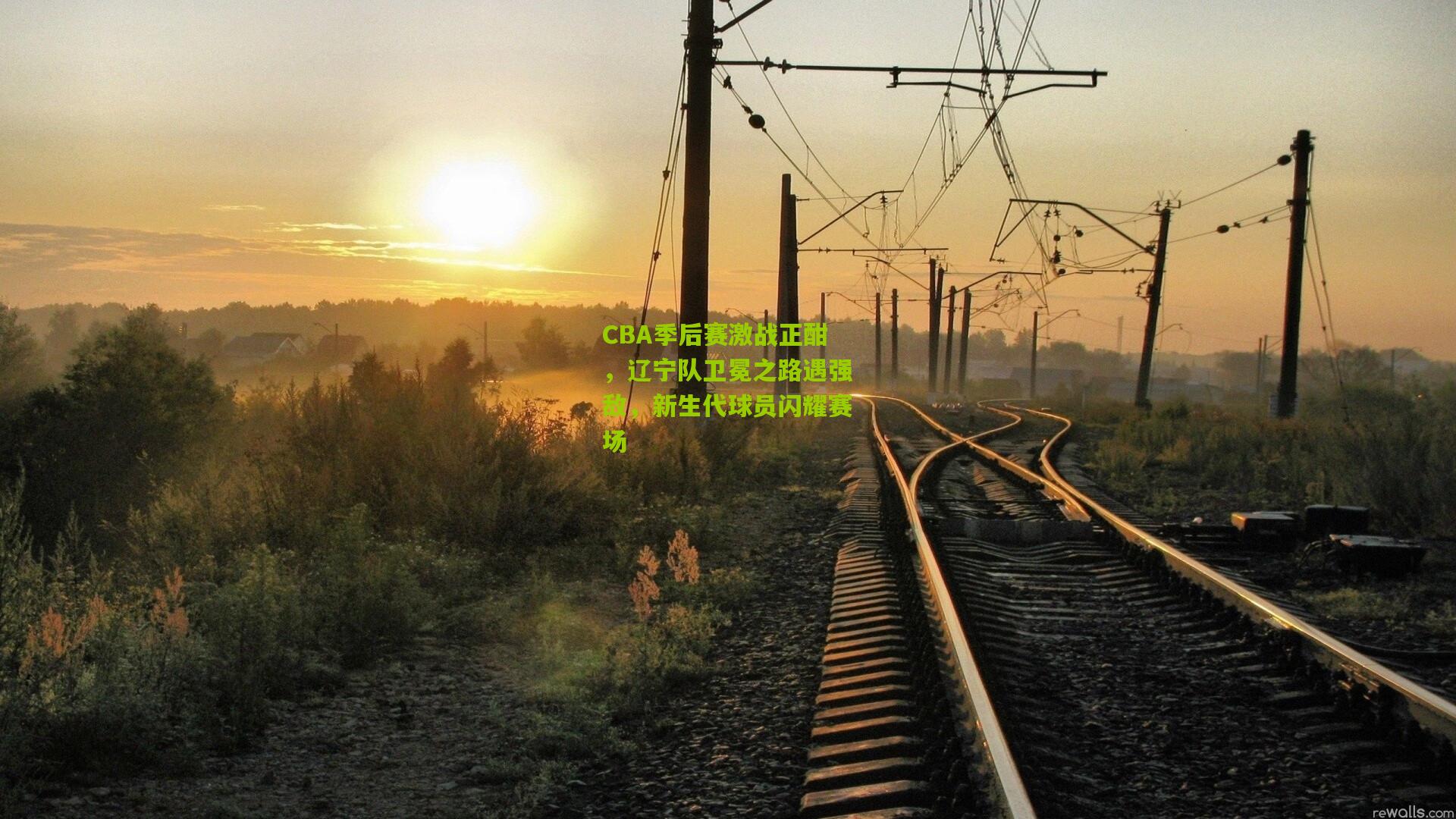 CBA季后赛激战正酣,辽宁队卫冕之路遇强敌,新生代球员闪耀赛场