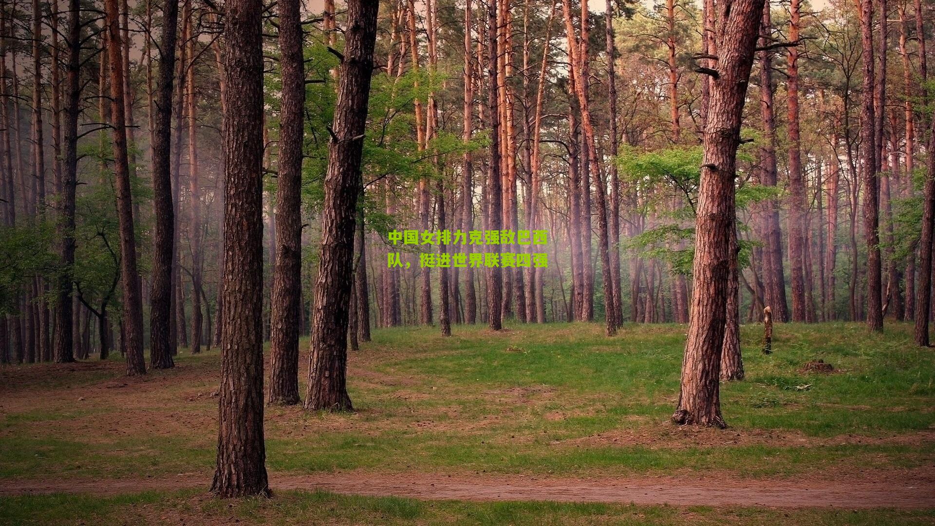 中国女排力克强敌巴西队,挺进世界联赛四强