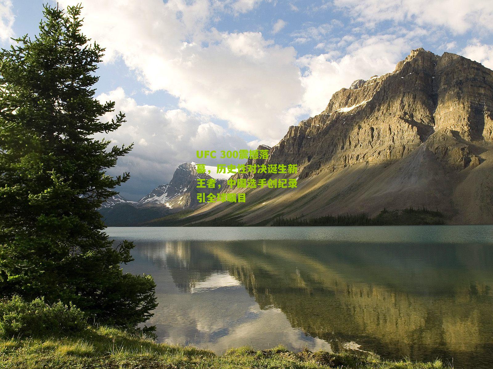 UFC 300震撼落幕,历史性对决诞生新王者,中国选手创纪录引全球瞩目