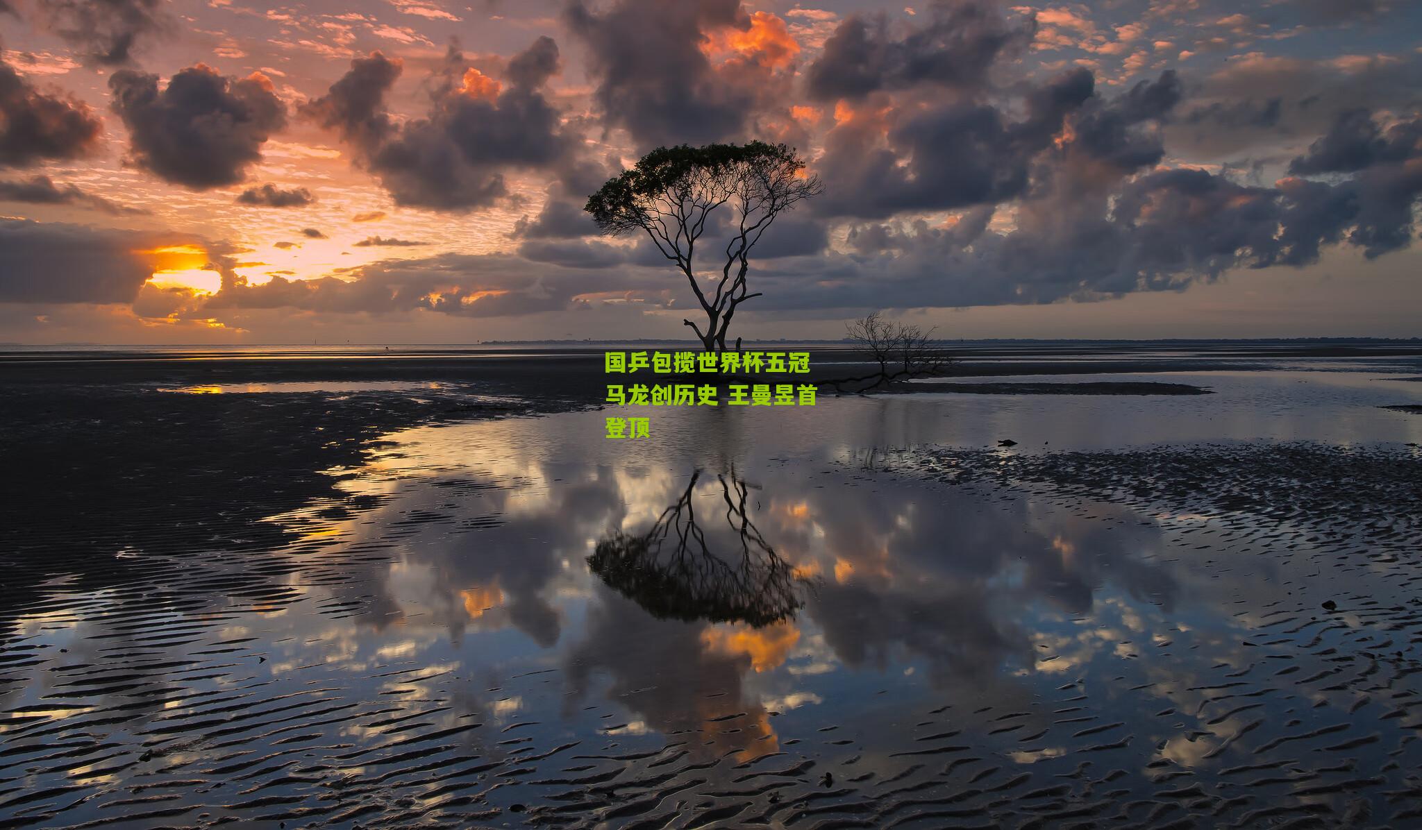 国乒包揽世界杯五冠 马龙创历史 王曼昱首登顶