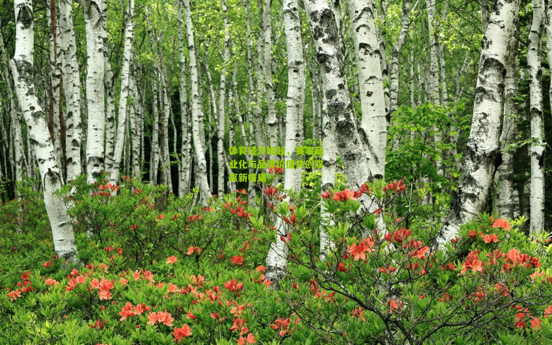 体育经济崛起,赛事商业化与品牌价值共创双赢新格局