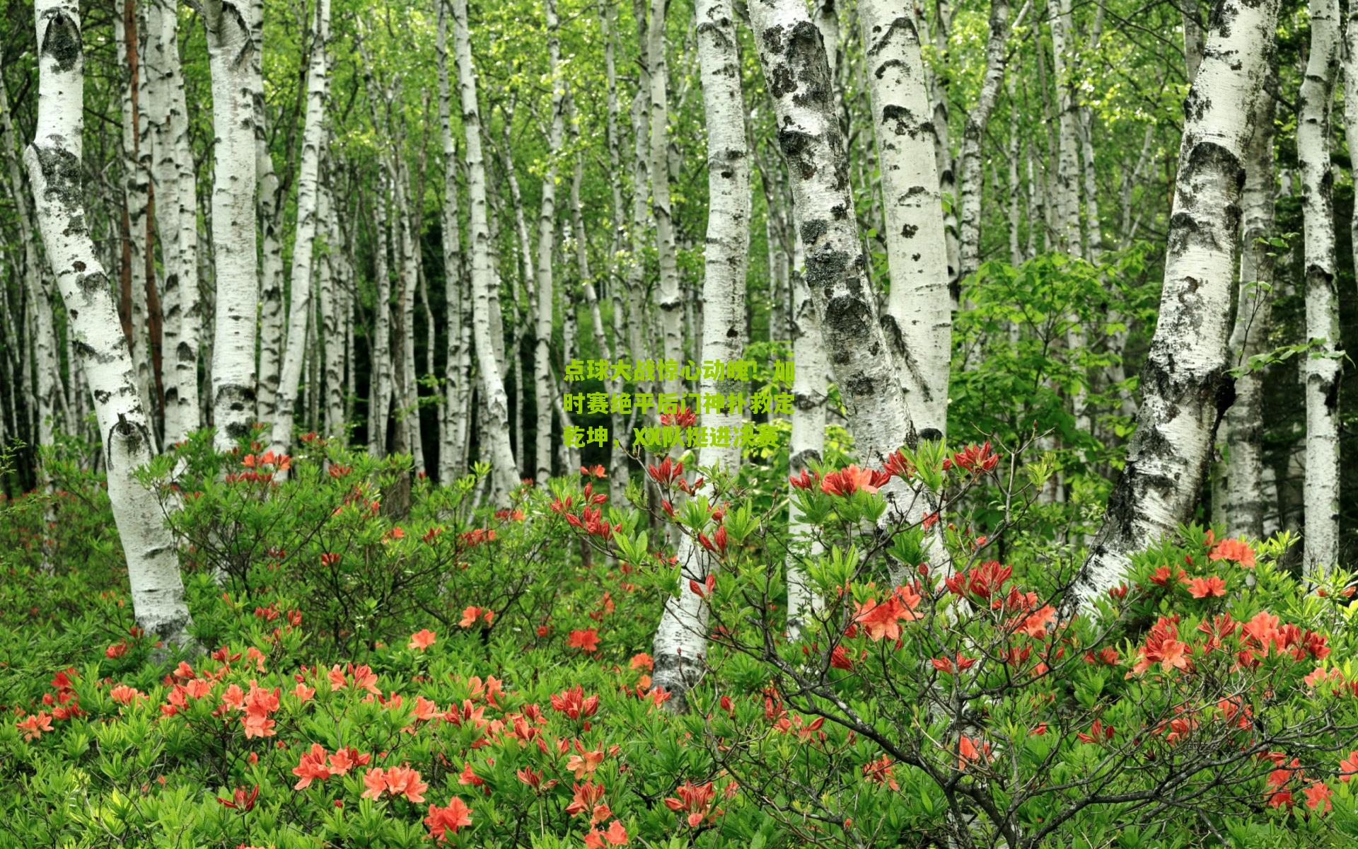 点球大战惊心动魄!加时赛绝平后门神扑救定乾坤,XX队挺进决赛