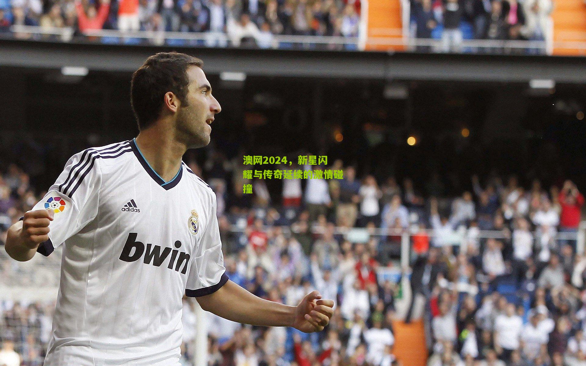 澳网2024,新星闪耀与传奇延续的激情碰撞