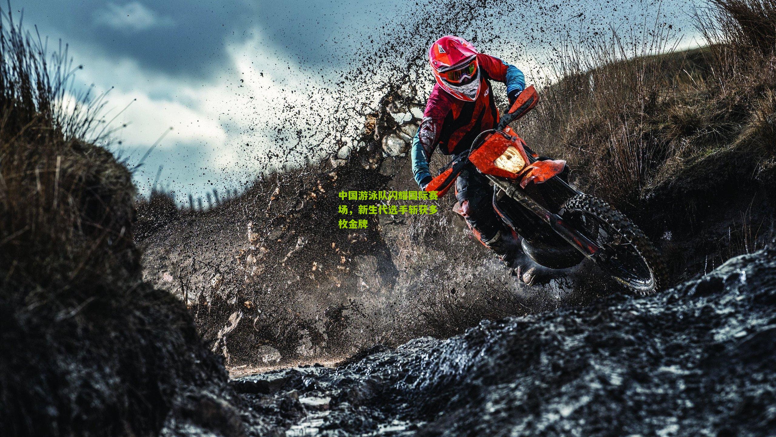 中国游泳队闪耀国际赛场，新生代选手斩获多枚金牌